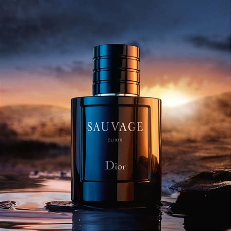 sauvage dior elixir notes|sauvage elixir dior best price.